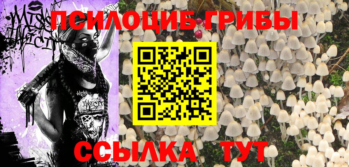 Псилоцибиновые грибы мухоморы Заводоуковск