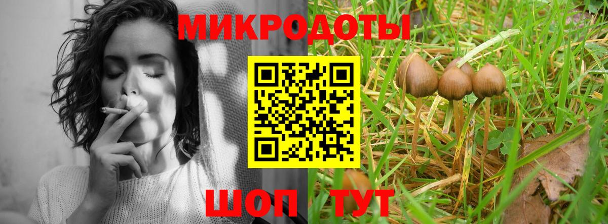 Галлюциногенные грибы прущие грибы  Псилоцибиновые грибы Psilocybe  Вход с VPN  Заводоуковск 